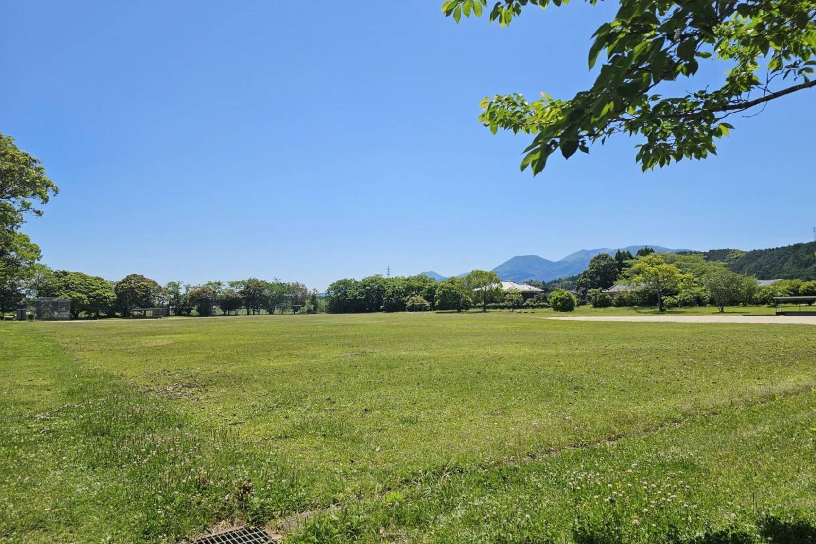 王子原運動公園（野球場）-1