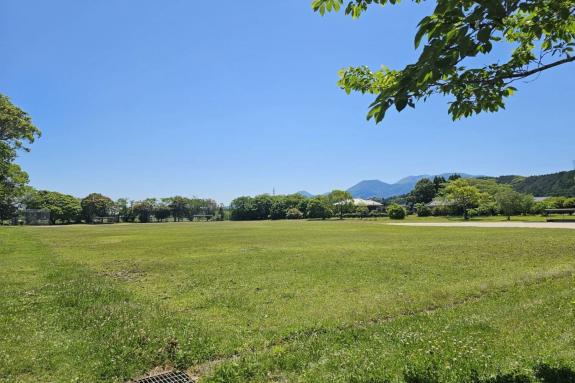 王子原運動公園（野球場）-0