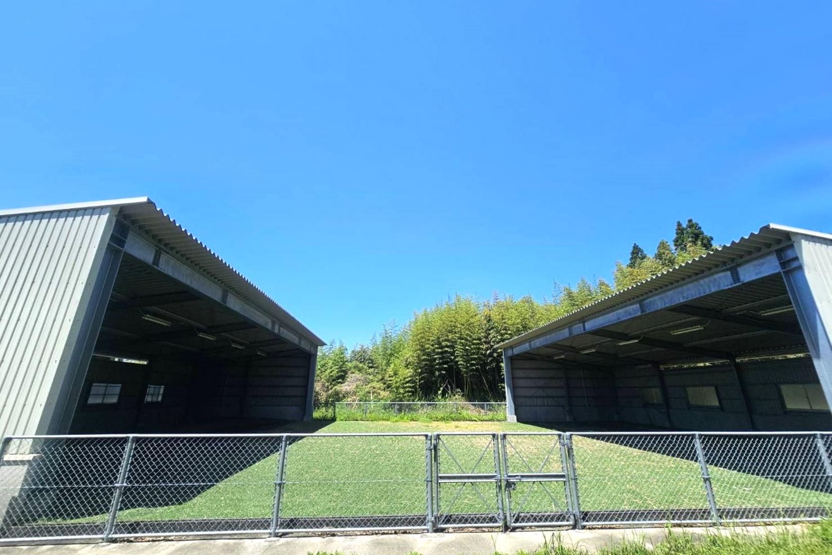 投球練習場（王子原運動公園）-1