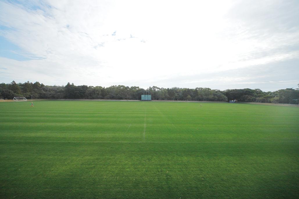 ラグビー場（ひなた宮崎県総合運動公園）-1