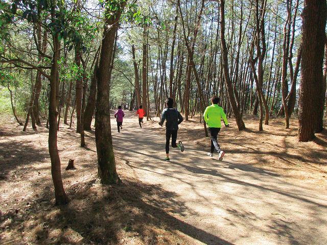 ひなた宮崎県総合運動公園 クロスカントリーコース（フェニックスコース）-1