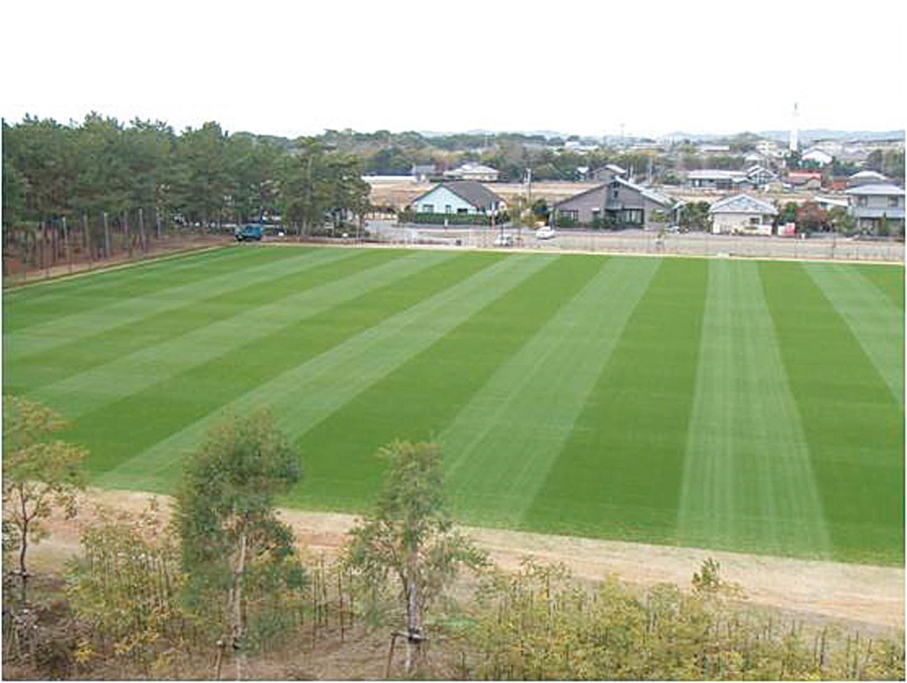 宮崎市国際海浜エントランスプラザ（サッカー場）-1