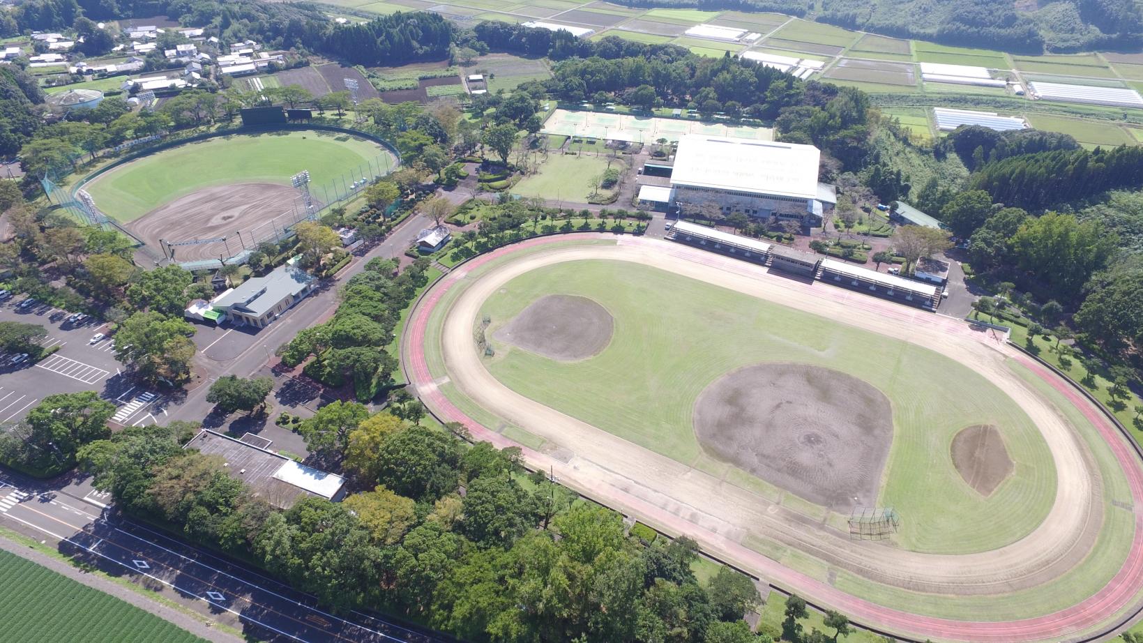 西都原運動公園（野球場）-5