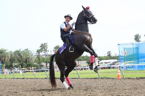 【終了】第33回馬に親しむ日-3