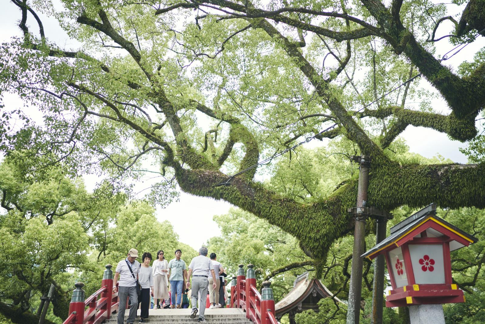 Dazaifu Tenmangu-1