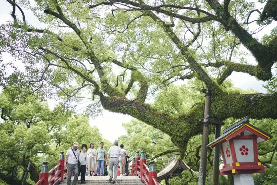 Dazaifu Tenmangu-1