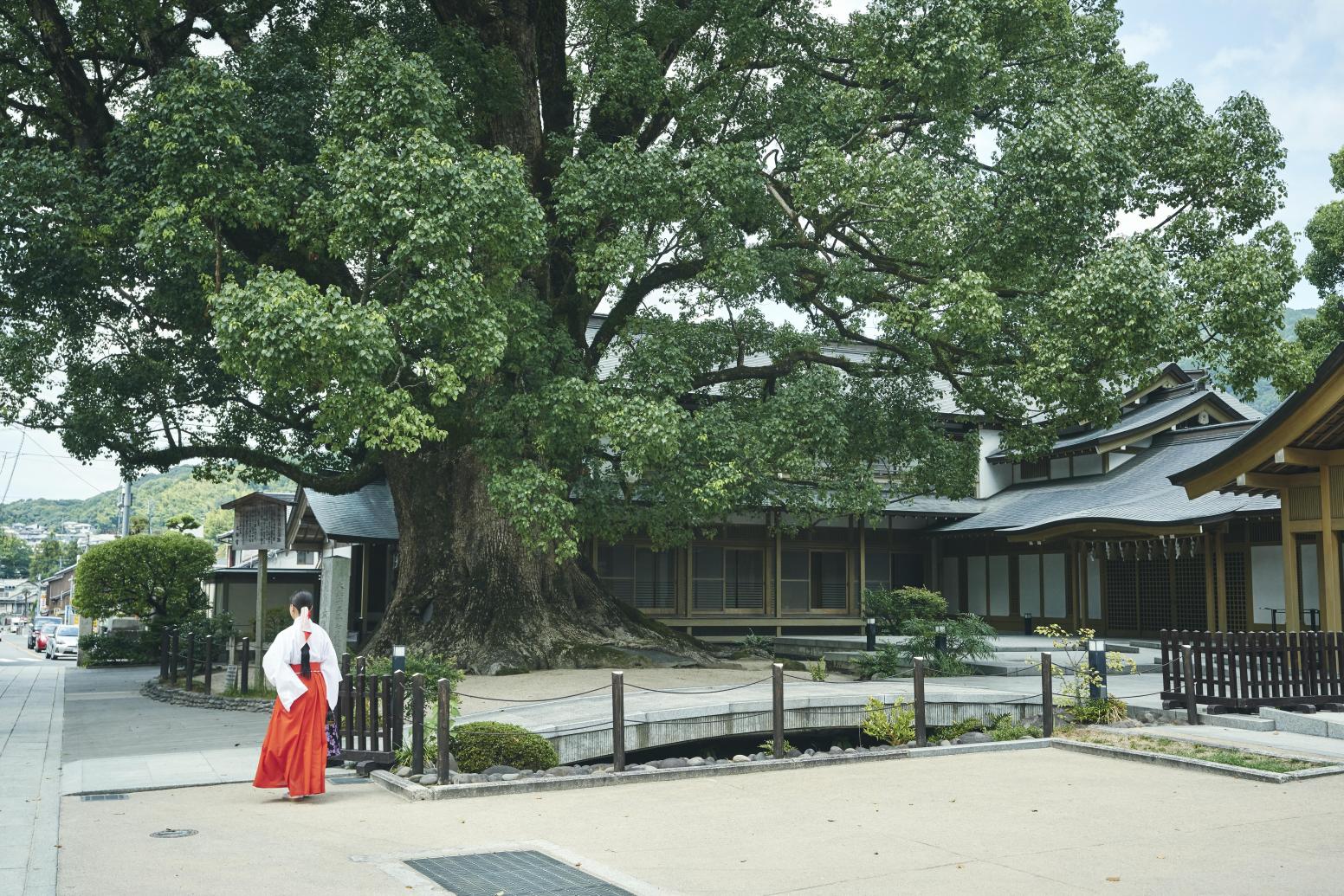 Dazaifu Tenmangu-3