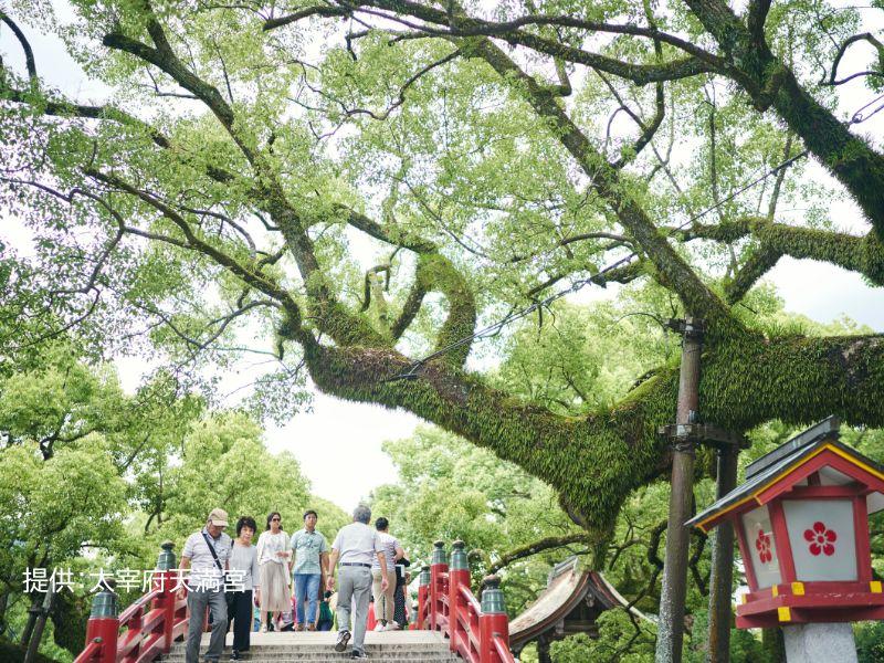 Dazaifu Tenmangu-1