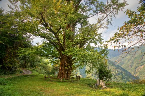 Shiiba Village, One of Japan's three most secluded regions-9