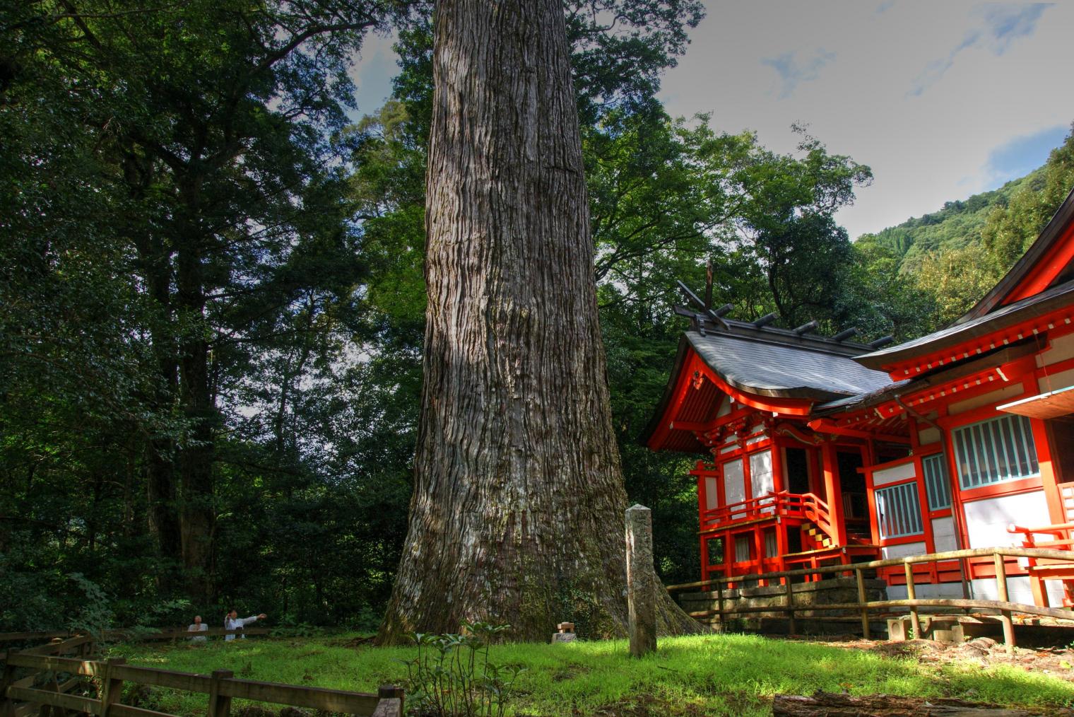 Shiiba Village, One of Japan's three most secluded regions-4