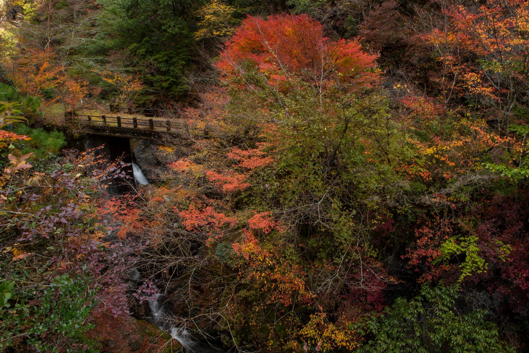 Shiiba Village, One of Japan's three most secluded regions-7