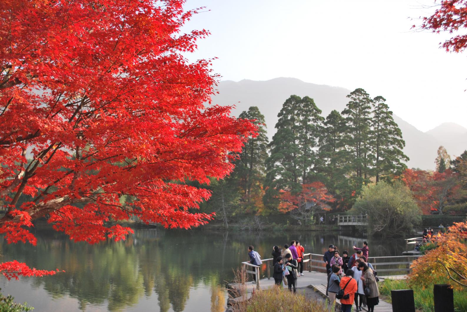 湯布院（大分縣）-4