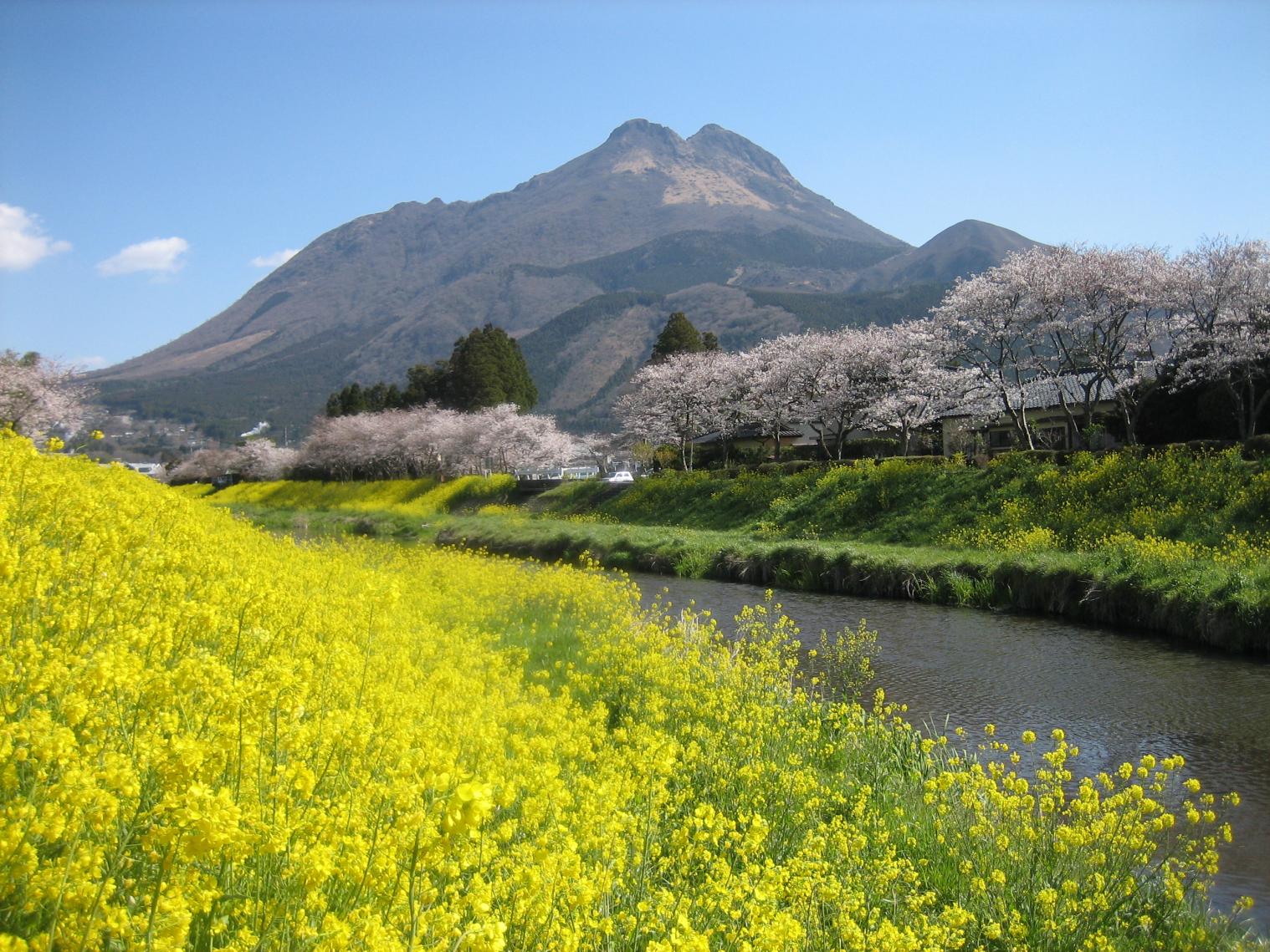 Yufuin (Oita Prefecture)-1