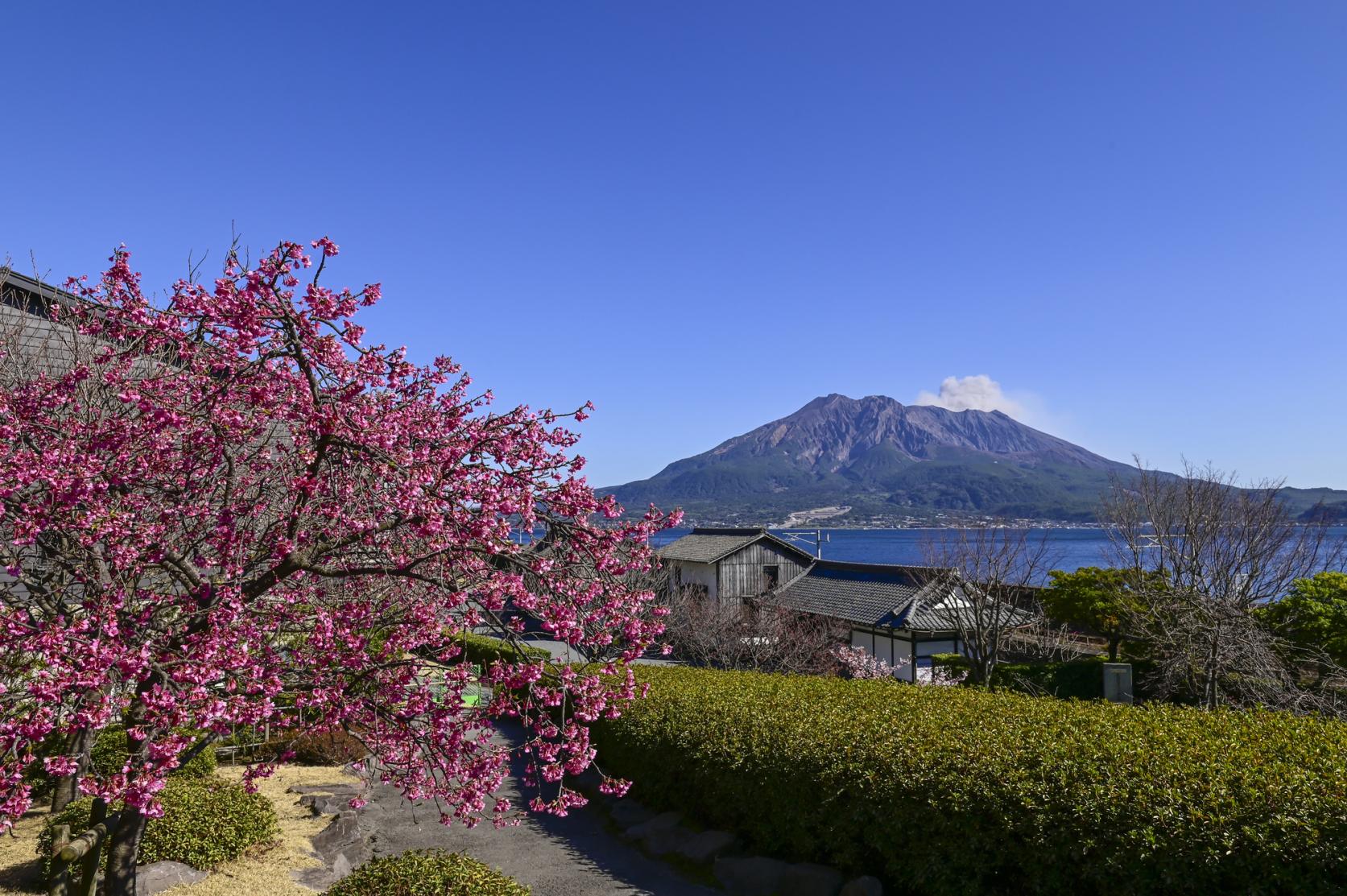 Sengan-en (Kagoshima Prefecture)-8