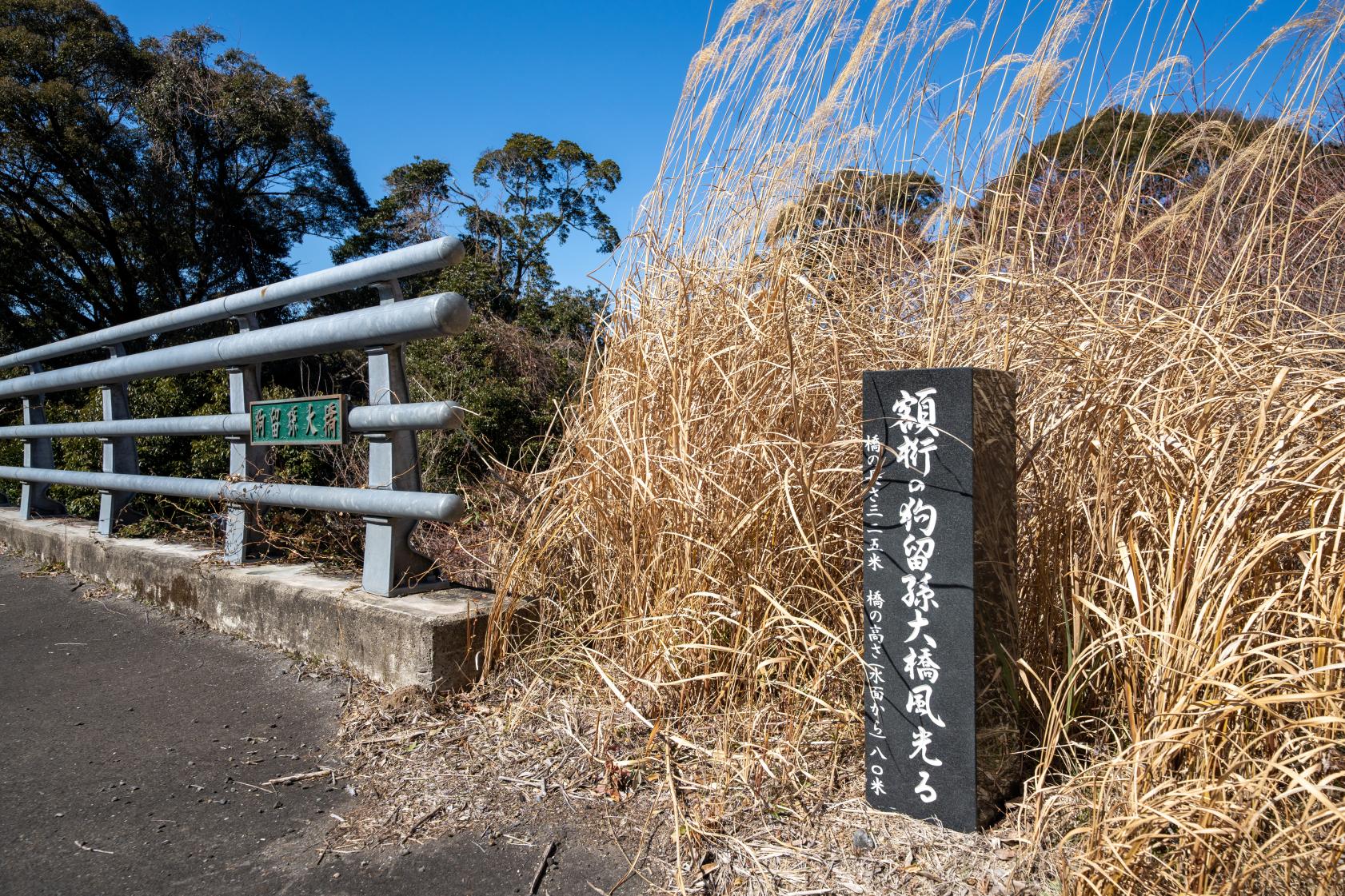 狗留孫大橋-1